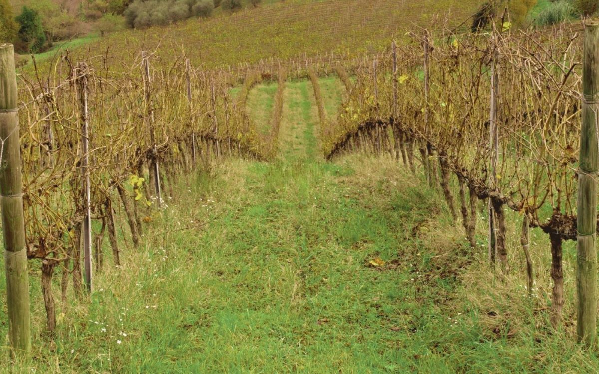 Le selezioni di giugno - Italia, Germania, Francia