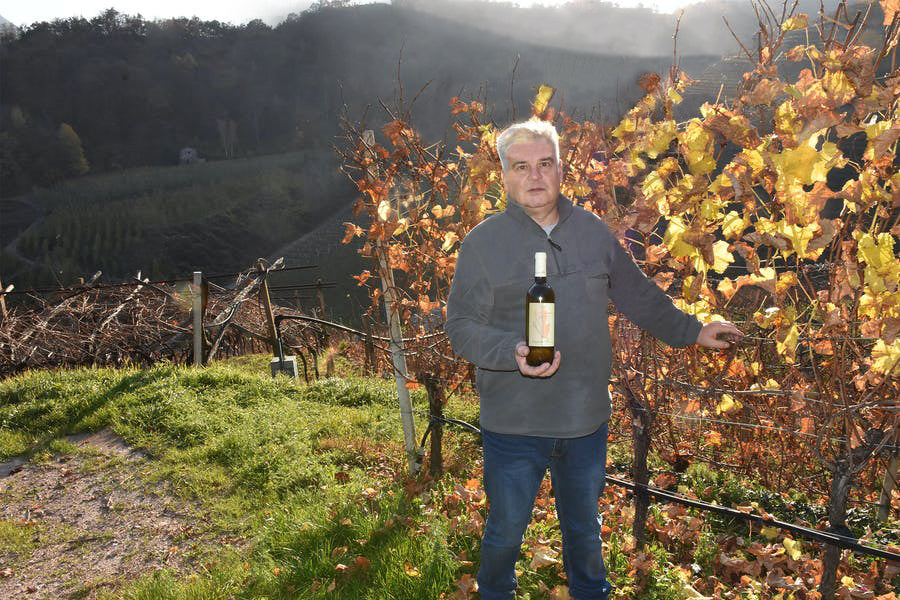 Alfio Nicolodi cantina Trentino