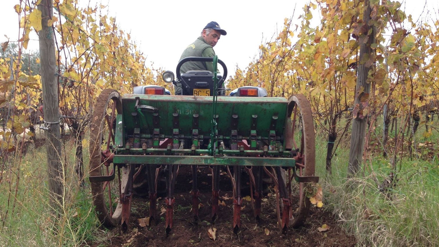 Azienda Agricola Le Rose - Lazio