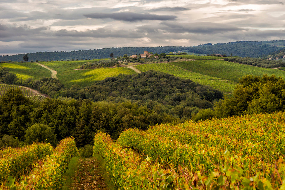 Chianti Classico