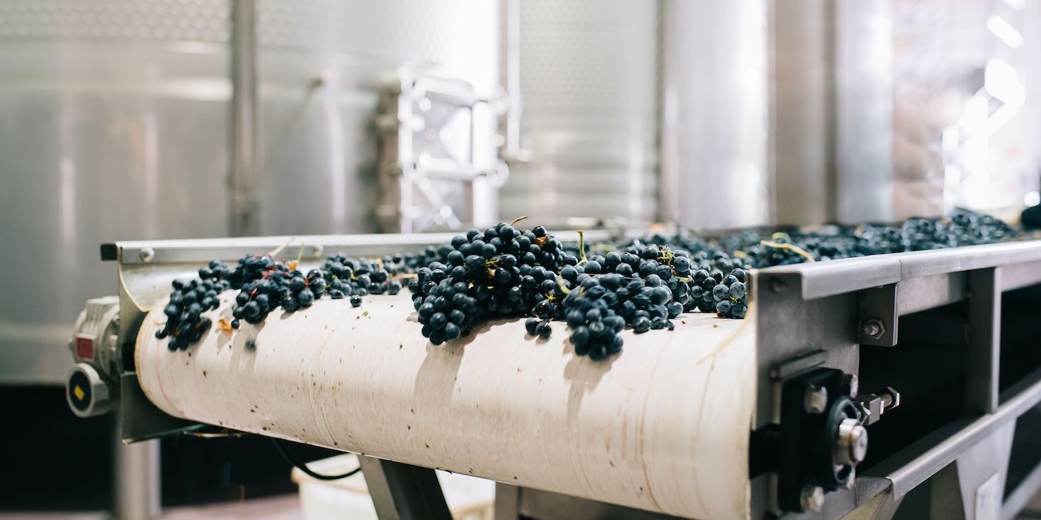 Intelligenza artificiale nel vino: le opportunità | SommelierWineBox