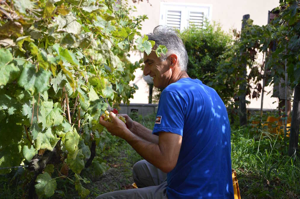 Pasquale cantina Cenatiempo