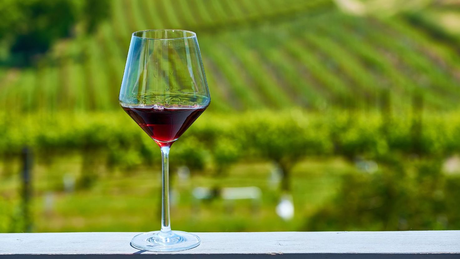 wide mouth wine glasses BarConic® Wide Shaped Wine Glass (Quantity Options) main image 0