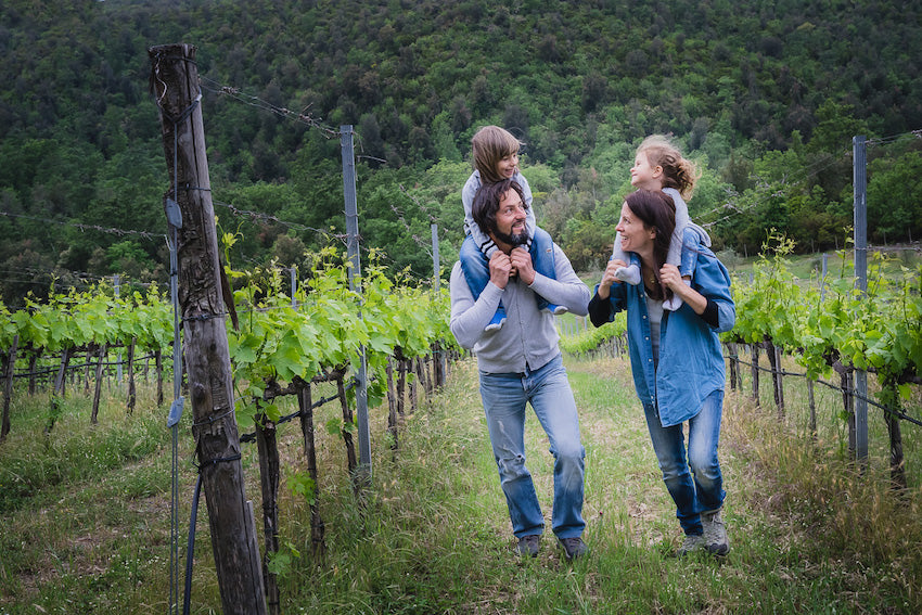 cantina san guglielmo montalcino Toscana
