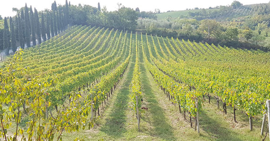 Cappella Sant'Andrea - Toscana