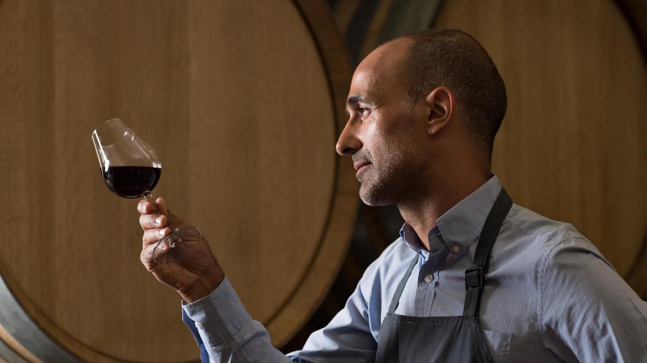 disciplinare di produzione vino