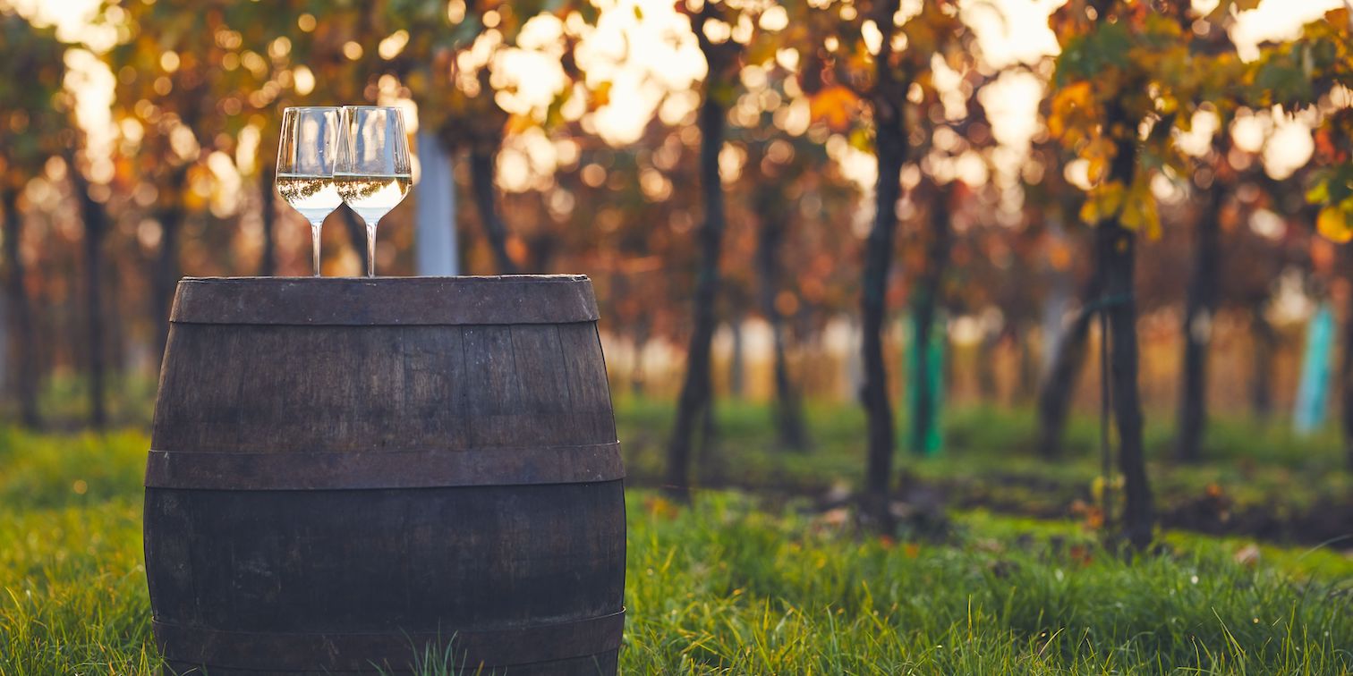 vini italiani
