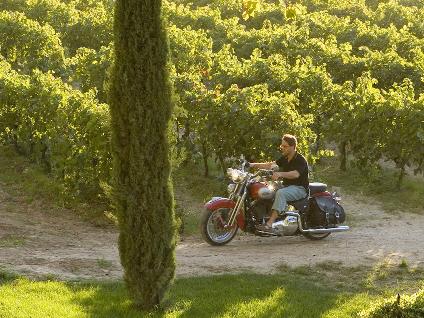 film un'ottima annata