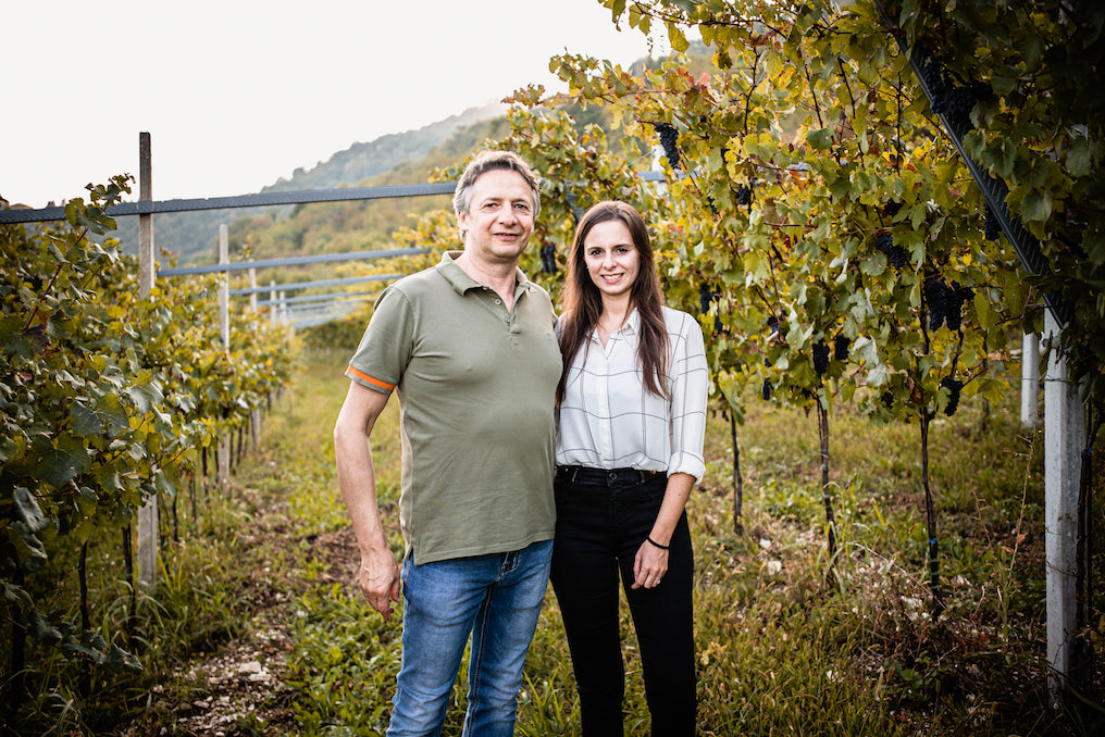 Giannitessari cantina