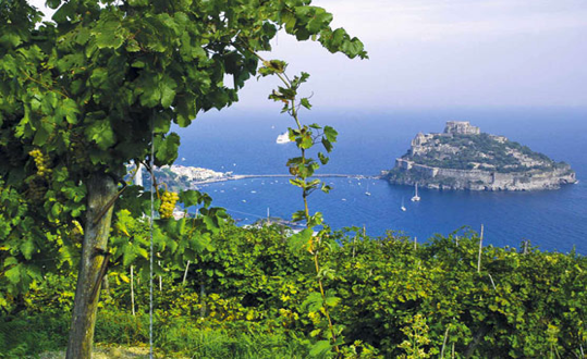 Piccole isole, grandi vini: un legame indissolubile
