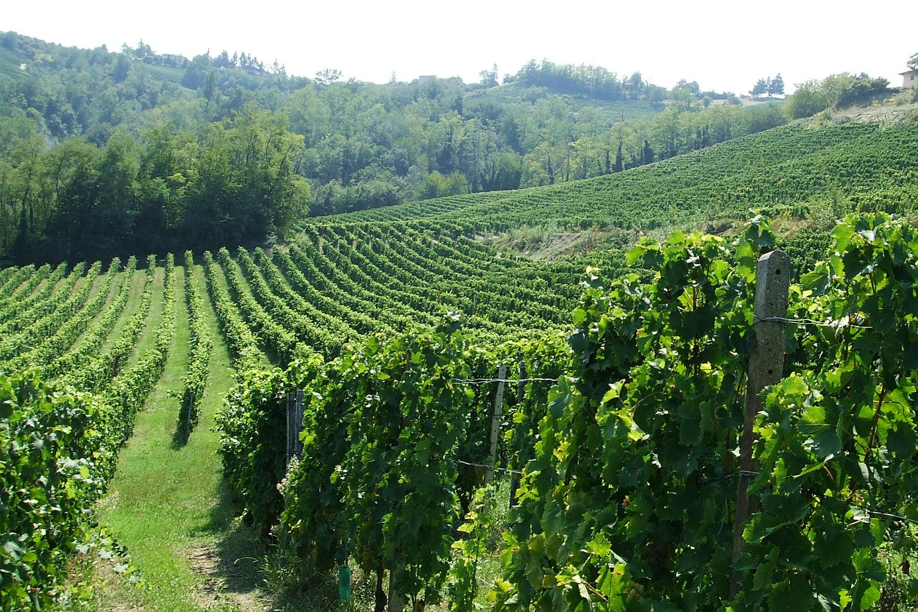piemonte