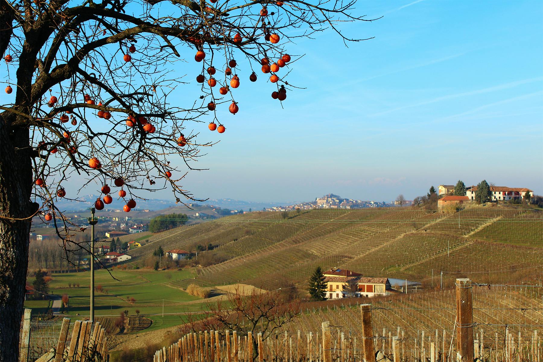 piemonte
