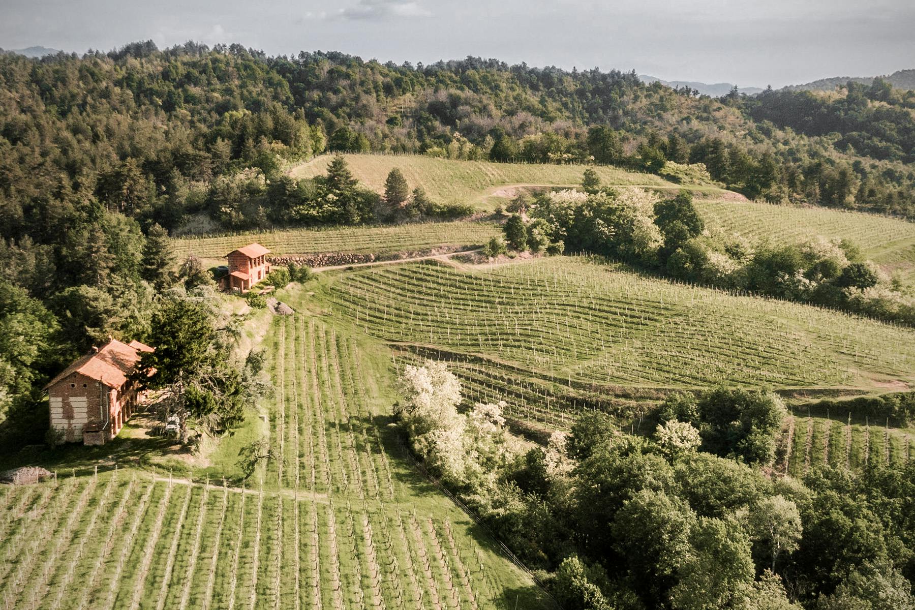Piemonte