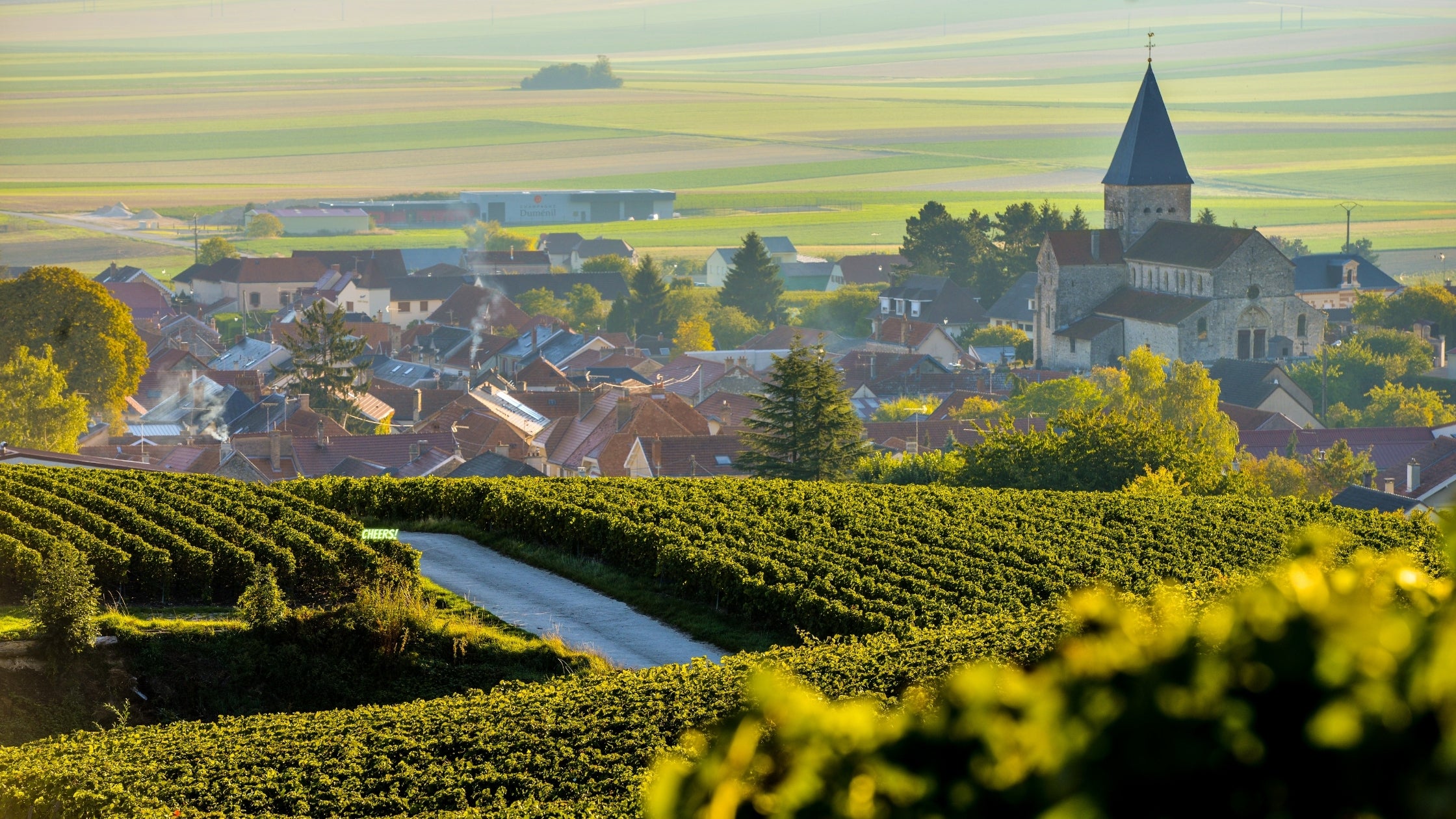 Champagne: le migliori bollicine del mondo