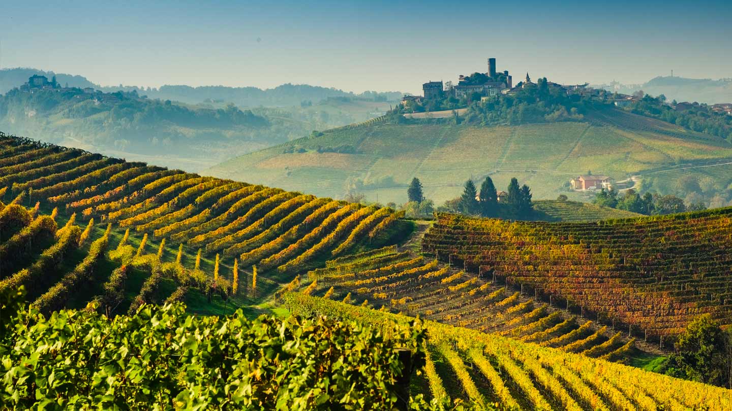 Nebbiolo: l’anima del Piemonte