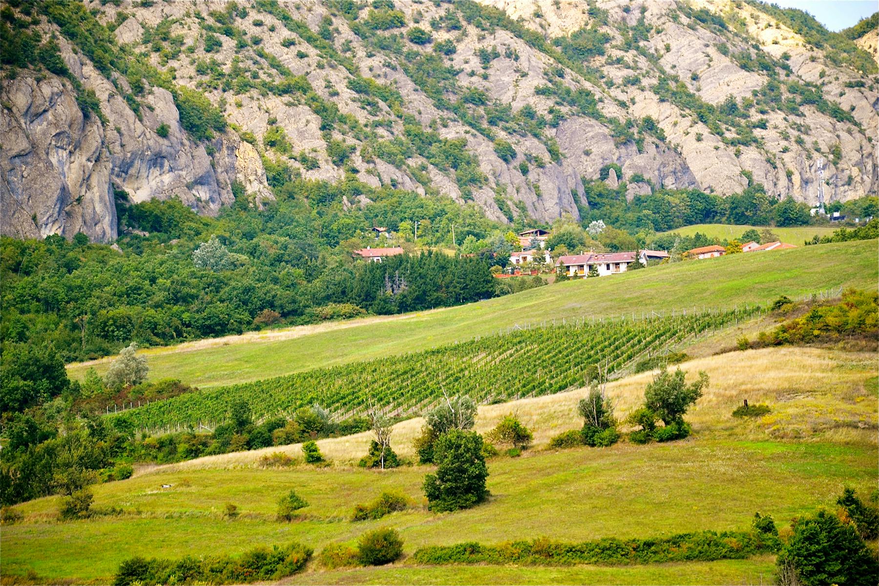 piemonte