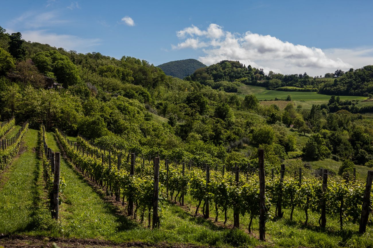 Colli Euganei Teolo