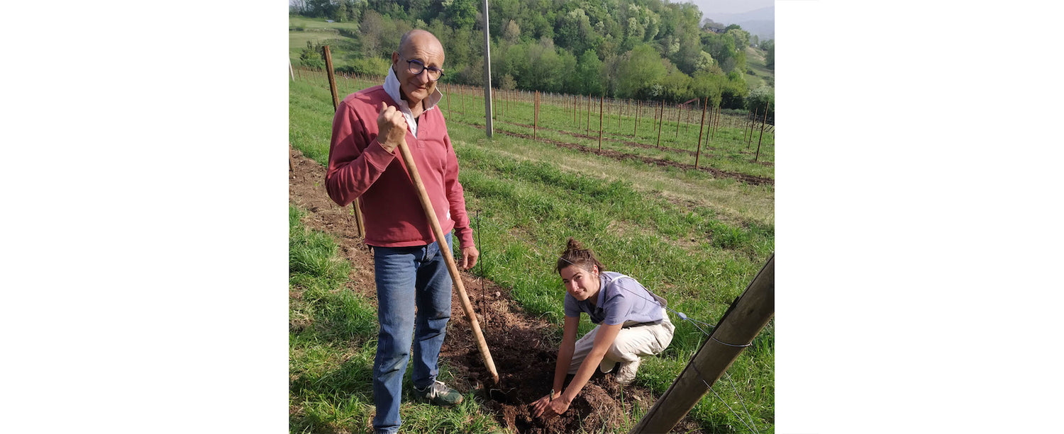 Cantina Dalle Ore