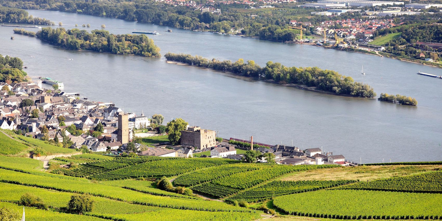 Riesling Germania