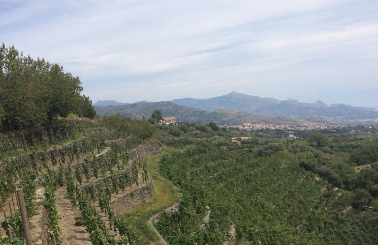 Vini da terre estreme