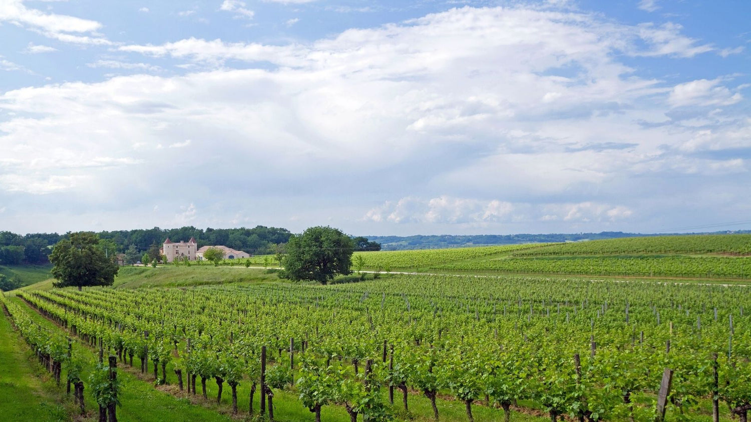 Vini di Bordeaux