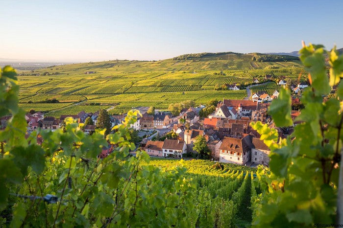 Tutto quello che c'è da sapere sui vini alsaziani