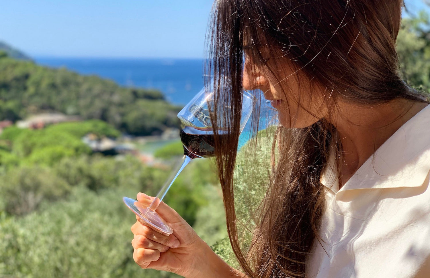 profumi del vino