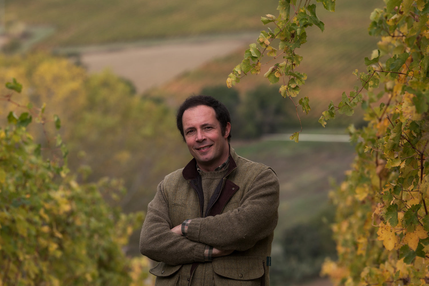 Marotti Campi - Marche