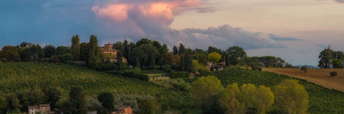 Centro Italia coast to coast: Marche, Umbria, Toscana