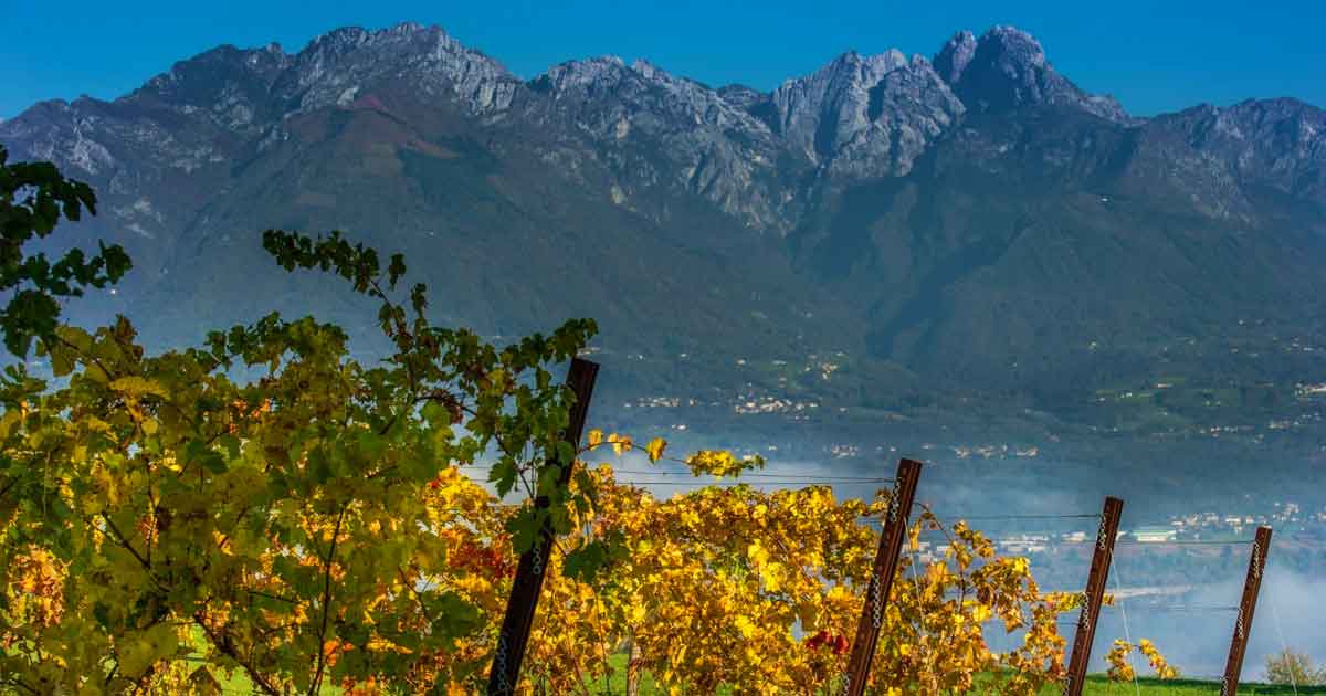 Crodarossa - Veneto