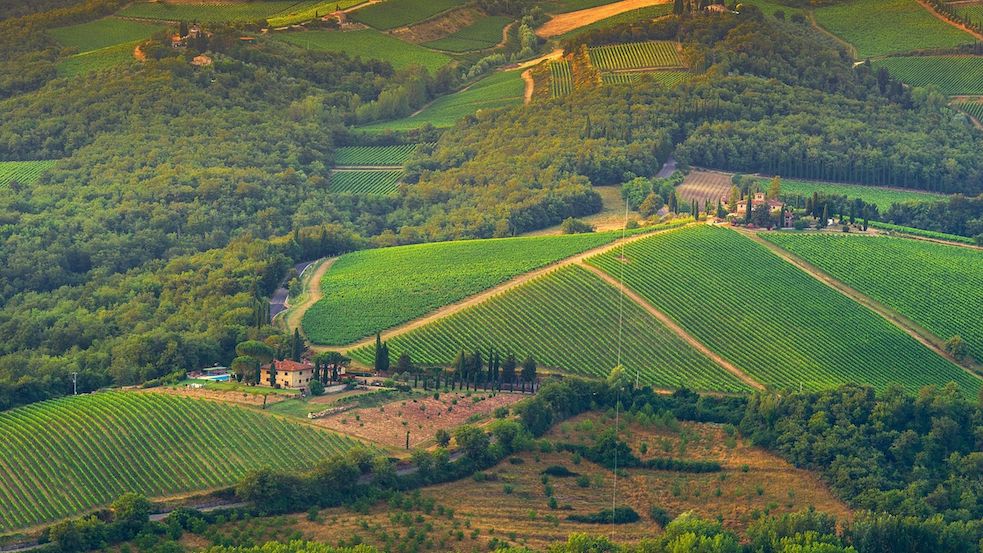 leggi del vino DOCG DOC