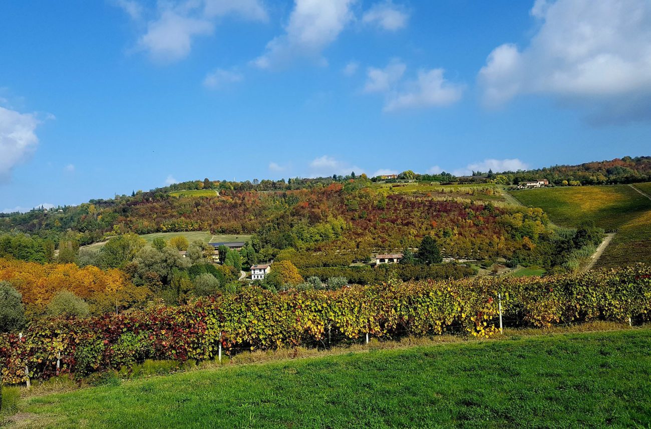 monferrato colline