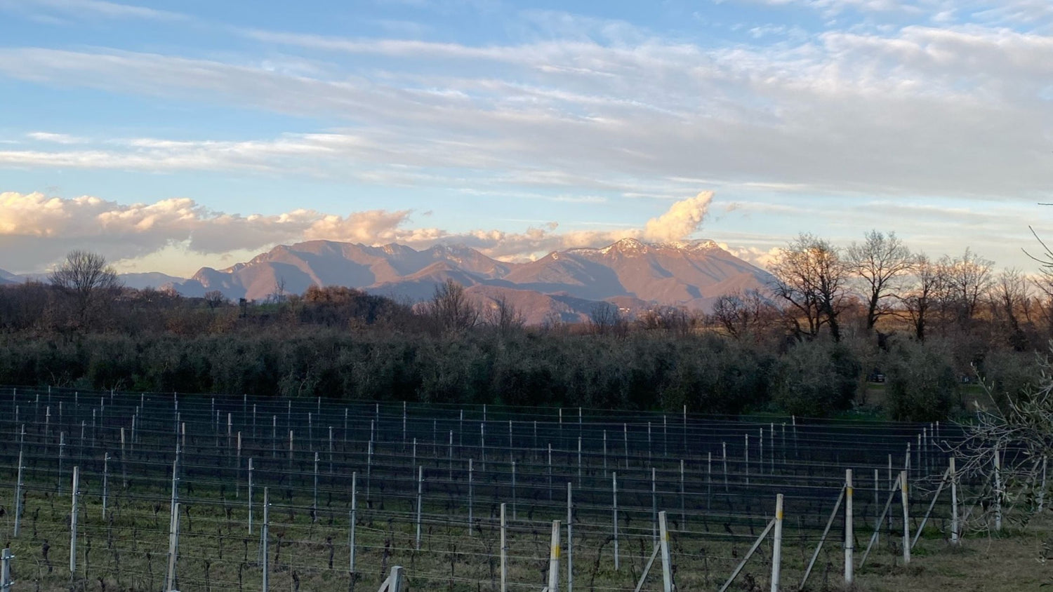 Vini di Brescia