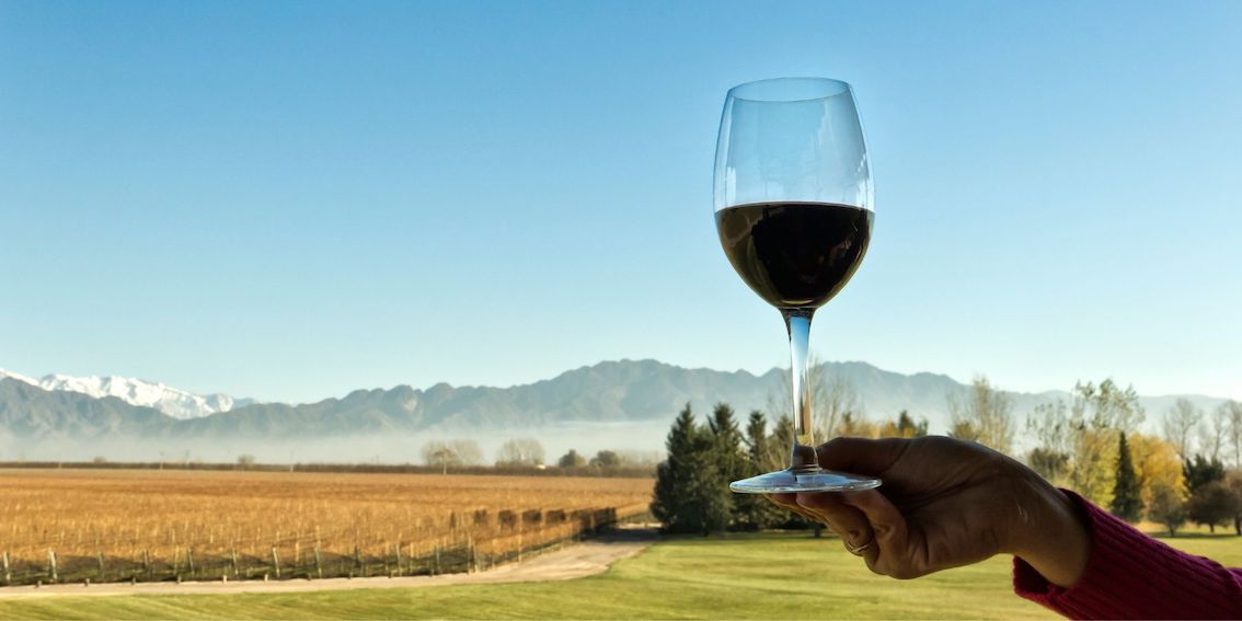 Cosa significa che un vino è “tipico”?