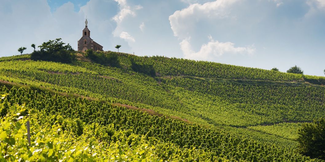 Vin de France