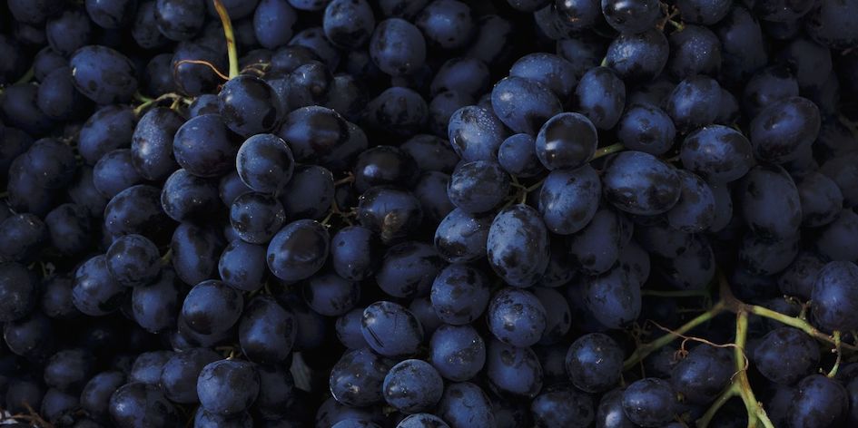 vitigni Piwi resistenti