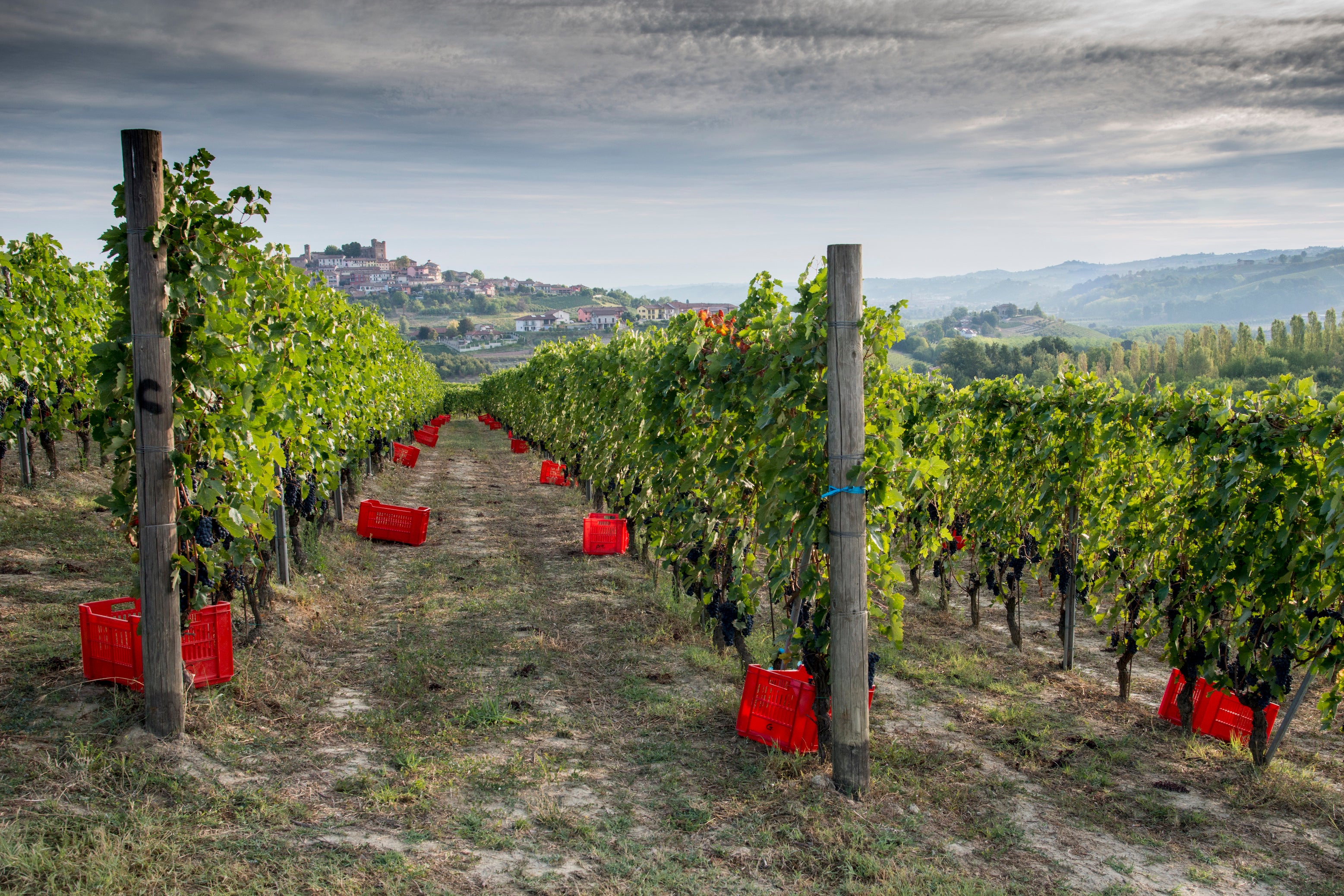 Piemonte