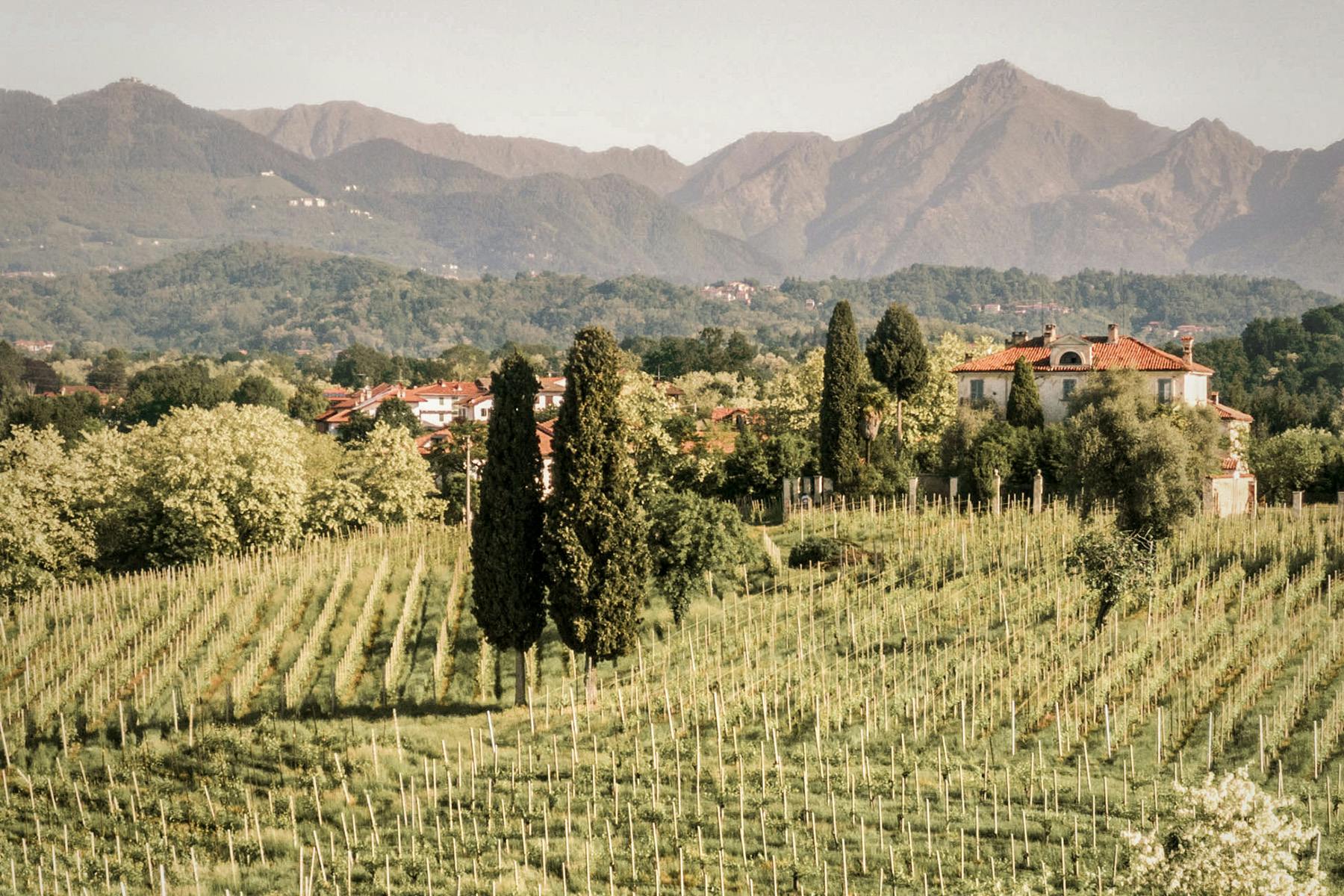 piemonte