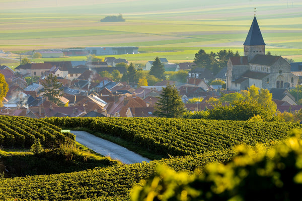 Champagne: The World's Best Sparkling Wines