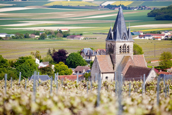 Champagne: The World's Best Sparkling Wines