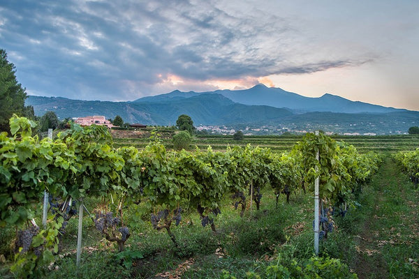 Native Italians to Rediscover