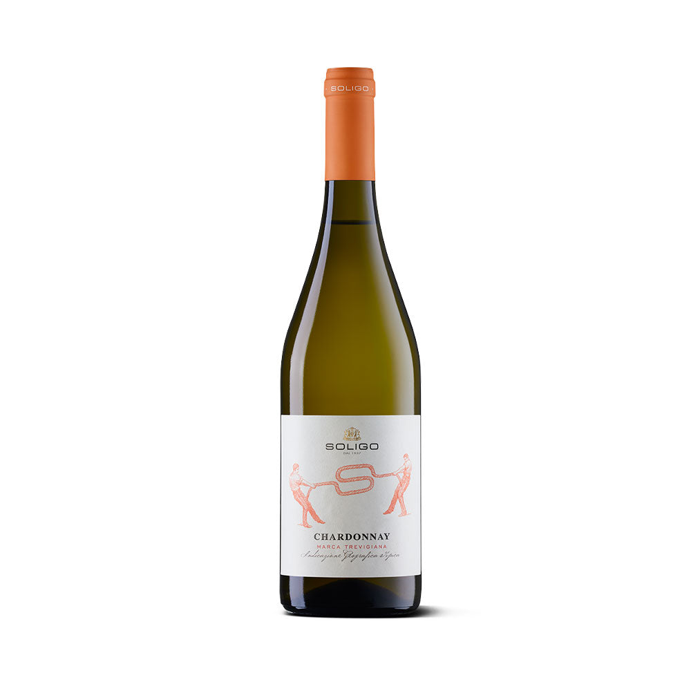 Chardonnay Solicum | Hills of Soligo